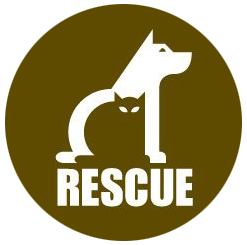 Cat Adoption Central Logo.Logo design by randyheil